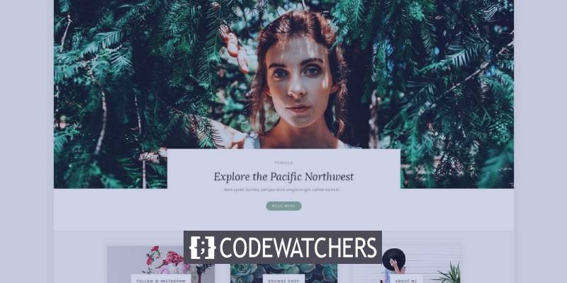 18 beste und flexible WordPress Instagram Themes 2021